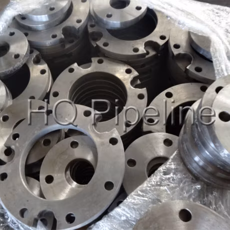 ANSI B16.5/DIN/En1092/GOST/BS Forgiato/Raccordo di forgiatura Carbonio/Acciaio inossidabile Pn10/16 Saldatura/Collo di saldatura/Filettato/Ceco/Slip on/Piastra piatta/Presa RF/FF Flangia del tubo